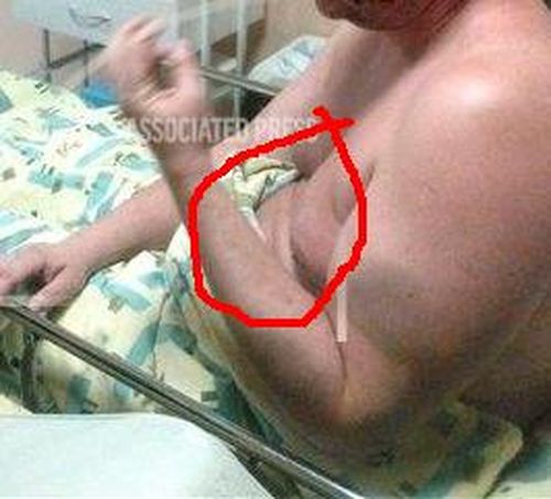 Файл:Булатов живот.jpg