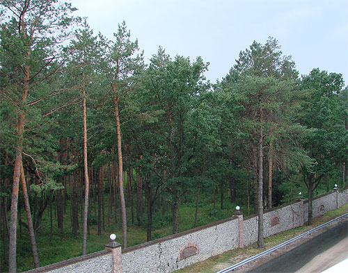 Файл:Клюев Андрей имения 7.jpg