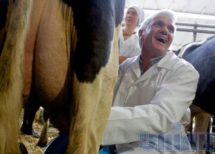 Файл:Литвин = корова.jpg