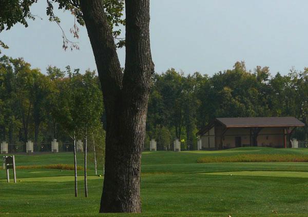 Файл:Янукович фото Черновол 10.jpg