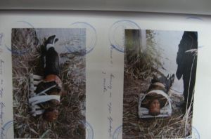 Демишкан Сергей 2.jpg