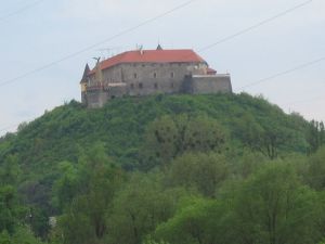 ООО "Карпаты".jpg