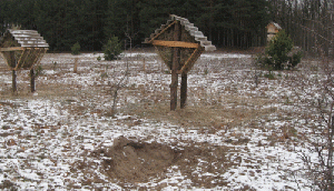 Охотничья поляна 1.gif