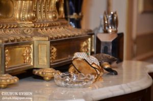 Пшонка имения 24.jpg