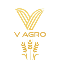 V agro logo.png